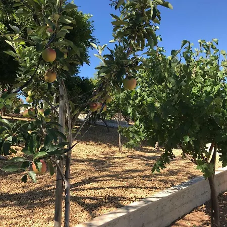Vila Flora Villa Loulé